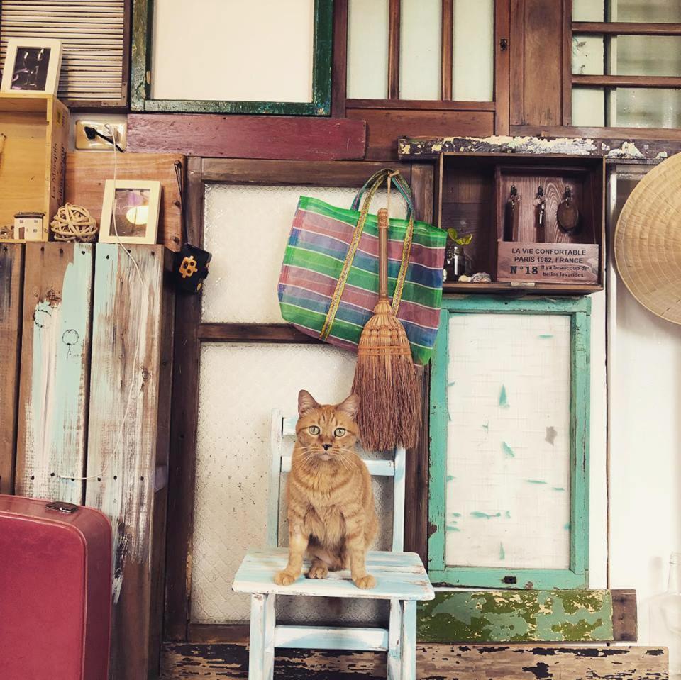 Meo-Woo Cat Travel B&B Sanzhi Dış mekan fotoğraf