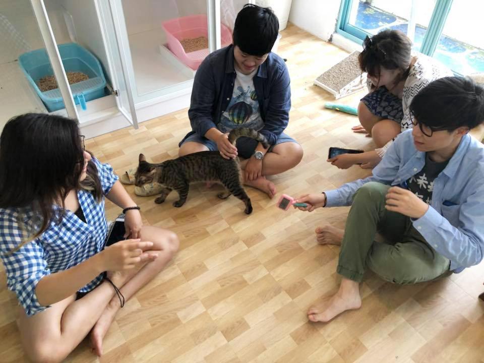 Meo-Woo Cat Travel B&B Sanzhi Dış mekan fotoğraf